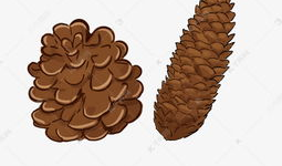 松果漫画,描绘生活的趣味与智慧